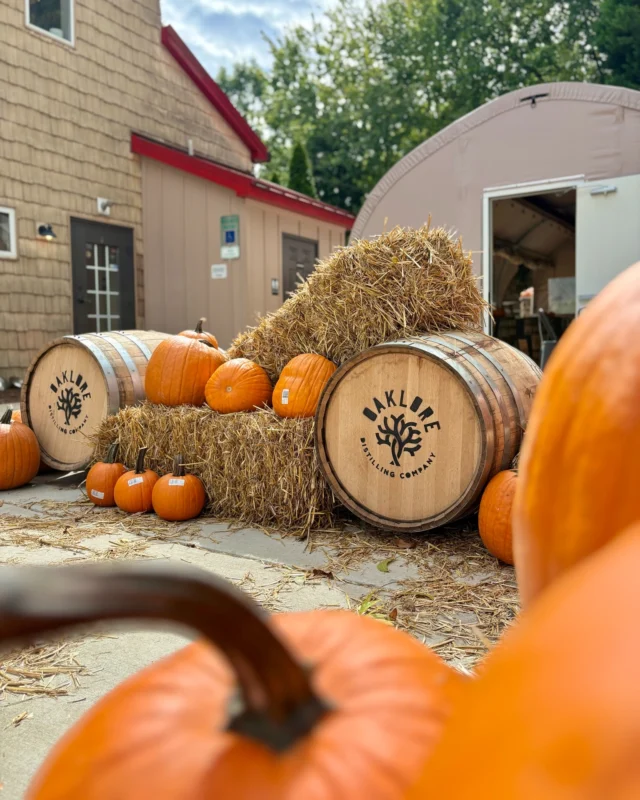 Oaklore’s patio is officially fall-ready. 🎃 Pull up a seat, grab a pour, and soak in the Pumpkinfest vibes with us all October long

📍Matthews, NC